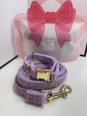 Obroża i smycz lawenda S